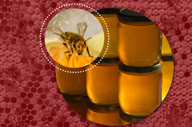 Koláž fotografií: včelí plast, flľaše medu a detail včely na kvete
